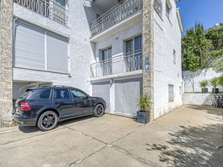 Apartment Roses  20