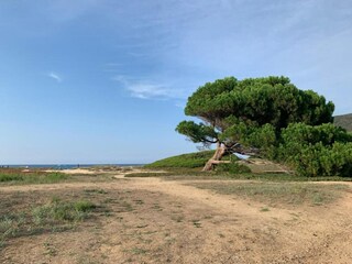 Ferienpark Ile Rousse Umgebung 49