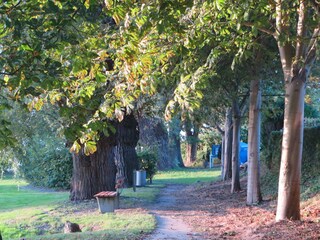 Holiday apartment Putbus Outdoor Recording 2