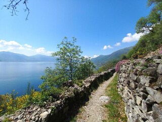 Parc de vacances Oggebbio Environnement 35