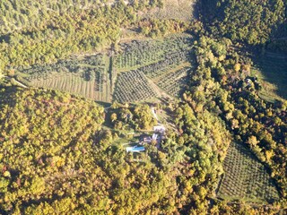 Villa Groznjan Ambiente 38