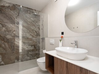 Villa Višnjan Caratteristiche 20