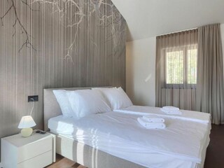 Villa Višnjan Características 25