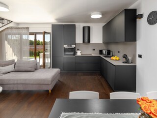 Villa Višnjan Caratteristiche 9