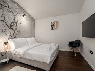 Villa Višnjan Caratteristiche 22