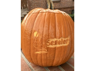 Elbsegeler Grünendeich