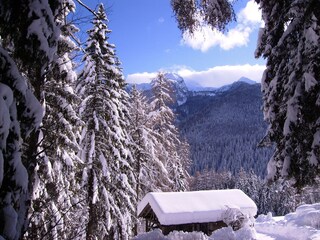 Appartamento per vacanze Ultental Ambiente 5