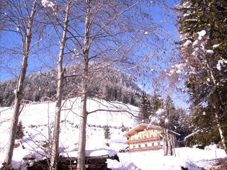 Appartamento per vacanze Ultental Ambiente 4