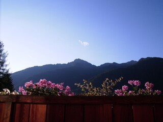Holiday apartment Ultental Environment 8