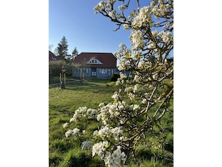 Seemannshaus