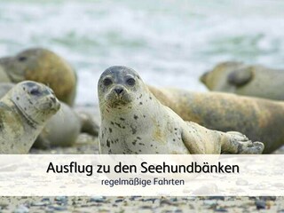 Appartamento per vacanze Bensersiel Ambiente 17