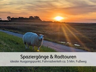 Appartamento per vacanze Bensersiel Ambiente 32