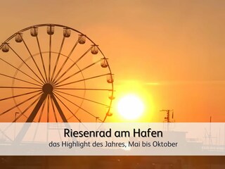 Appartement de vacances Bensersiel Environnement 19