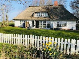Südterasse