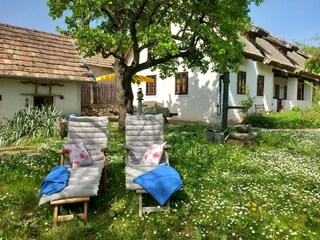 Ferienhaus Nemesvita Außenaufnahme 2