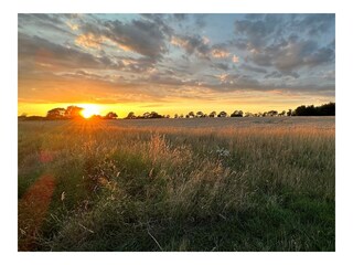 Ferienwohnung Fehmarn Außenaufnahme 10