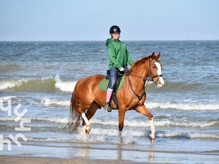 Holiday house Aagtekerke Environment 23