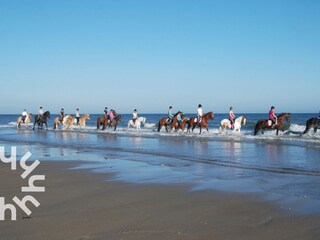 Holiday house Aagtekerke Environment 24