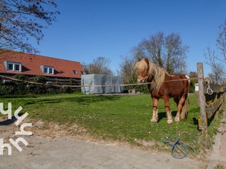 Holiday house Aagtekerke Environment 25