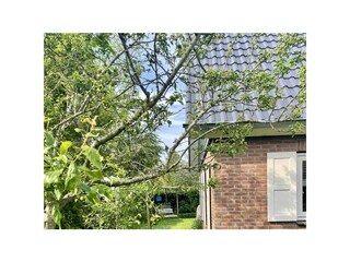Holiday house Zonnemaire Environment 31