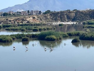 Appartement Vera Playa Environnement 41