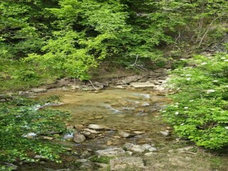 Appartement Sansepolcro Omgeving 40