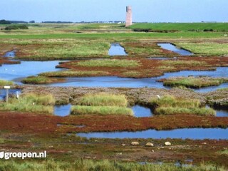 Villa Nieuw-Haamstede Environnement 13