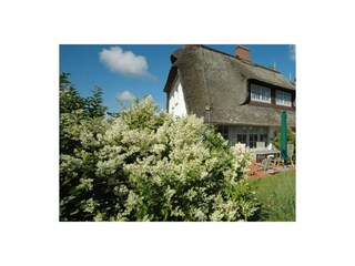 Ferienhaus Wenningstedt Außenaufnahme 1