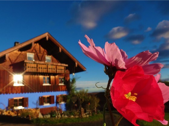 Ferienwohnung Blumenoase Allgäu, "Wohlfühloase" zwischen Ferienwohnung Blumenoase Allgäu, "Wohlfühloase" zwischen