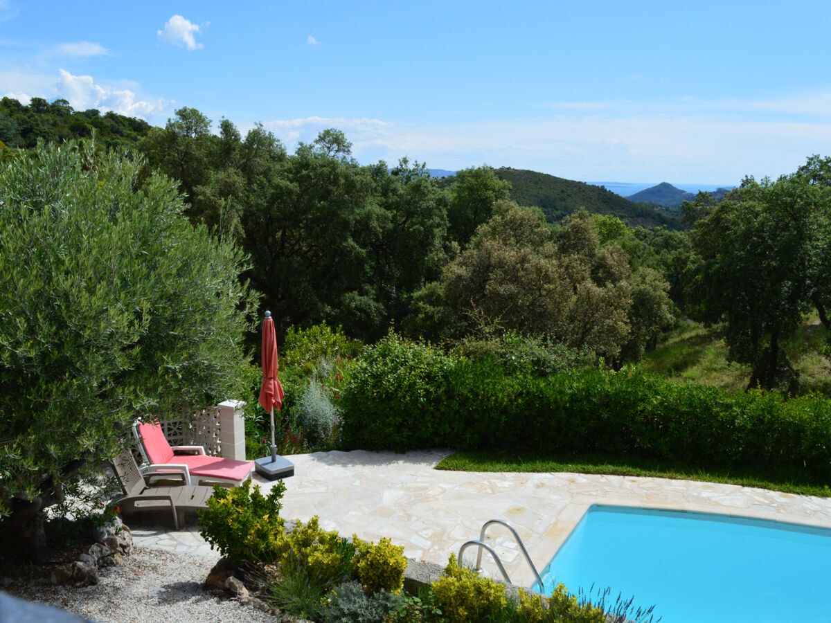 Garten und Pool mit Meerblick.