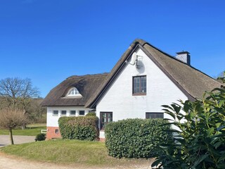 Aussenansicht Gibelseite