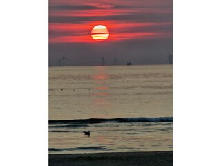 Strand Egmond aan Zee