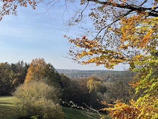 Direkt bei uns ums Eck … Wanderweg