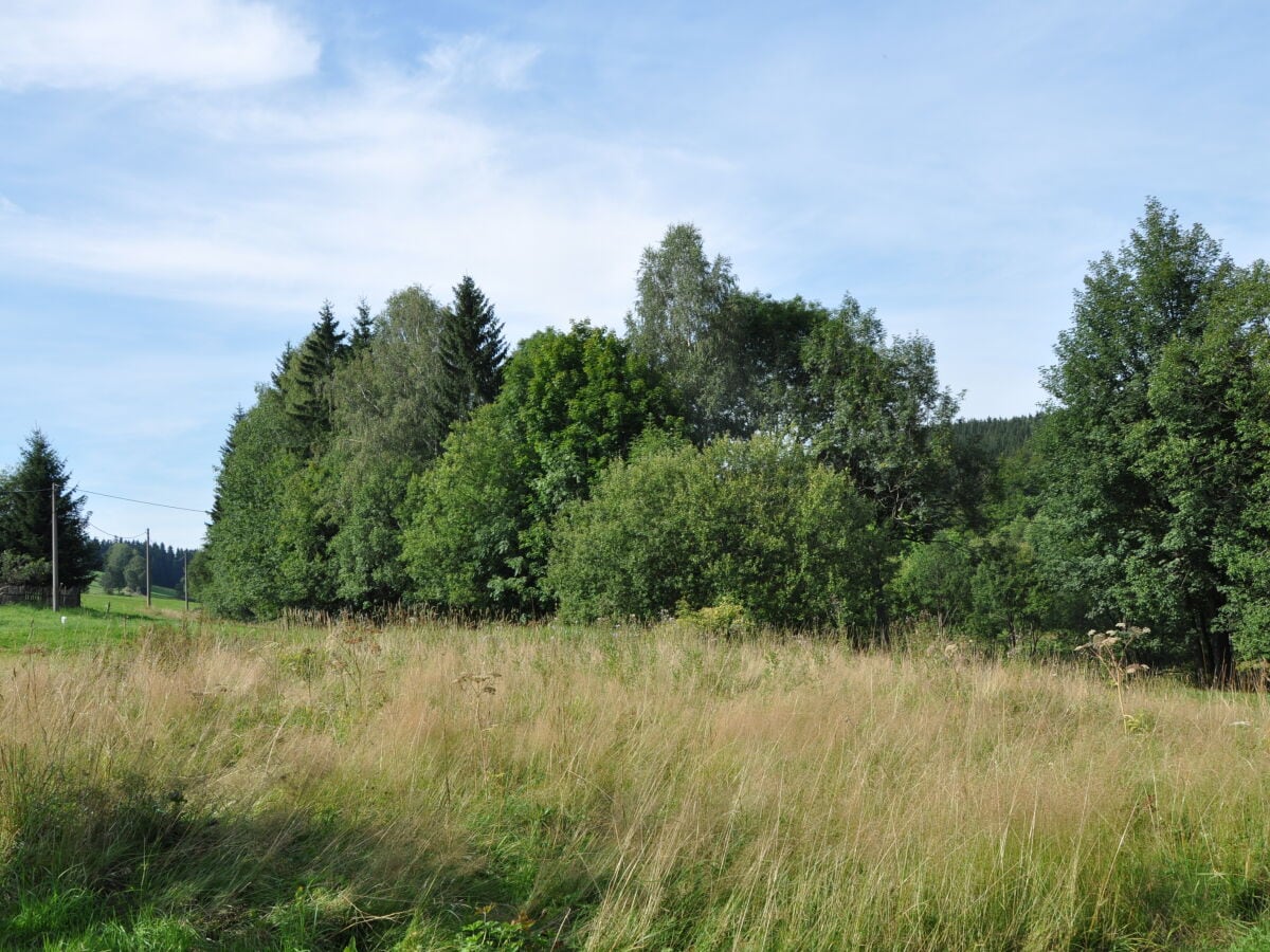 Mühlenhof Grundstück