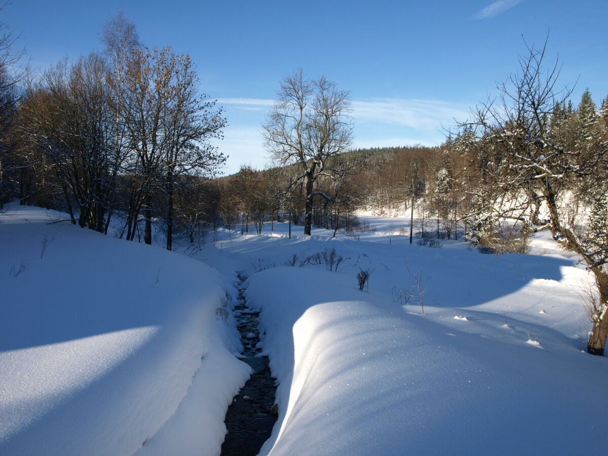 Mühlenbach im Winter