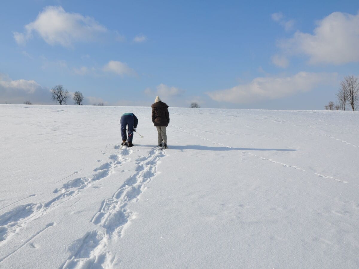 Wanderung mit Schneeschuhen