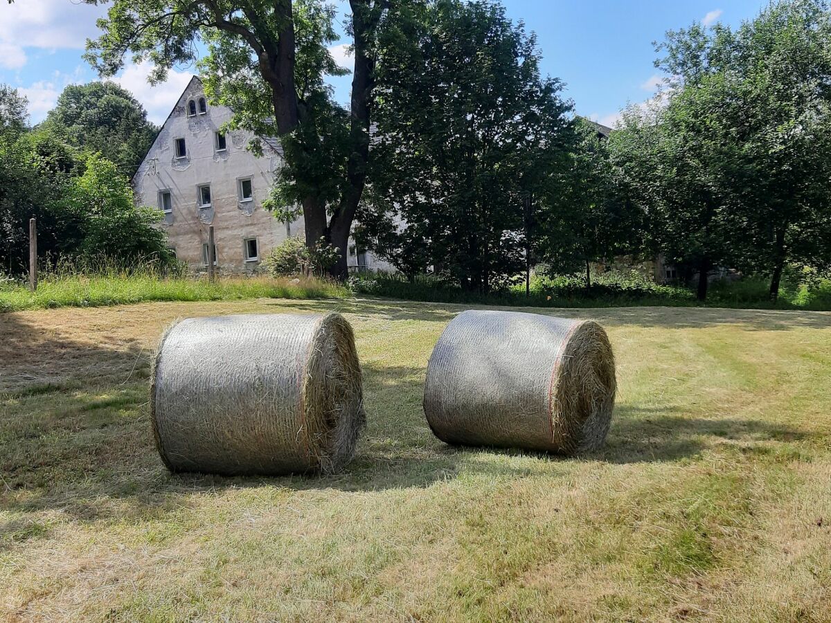 Ferienhaus Hermsdorf Außenaufnahme 7