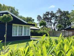 Bungalow Bavelds Home - Denekamp