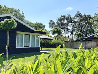 Luxus-Bungalow Bavelds Home