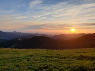 Zuflucht