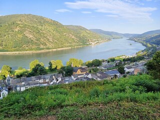 Moselpanorama