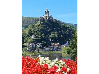 Burg