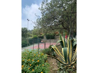 Tennisplace