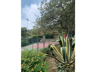 Tennisplatz
