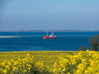 Landschaft