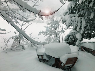 Villa Aigner - Winter im Garten