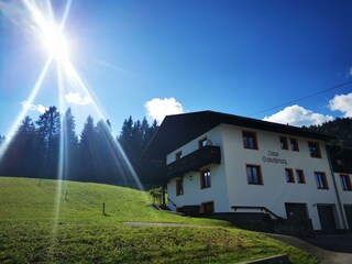 Haus Gamssprung - Sommer