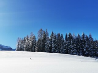 Haus Gamssprung - Winter Waldblick