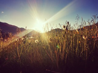 Aussicht Gamssprung