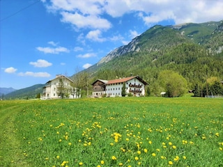 Pulvererhof - Feld 1